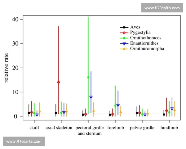 体育比赛中战术演变历程与策略创新发展探析 - 副本
